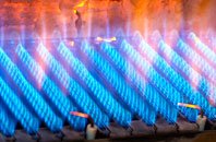 Earlsdon gas fired boilers